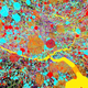 Image for article titled See The Wellcome Trust's Best Science Photos Of The Year